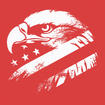 Stylized white eagle head with stars and stripes on a red background